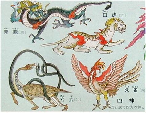 白虎青龍|四神:簡介,起源,體系,傳說,青龍,白虎,朱雀,玄武,影響,用。